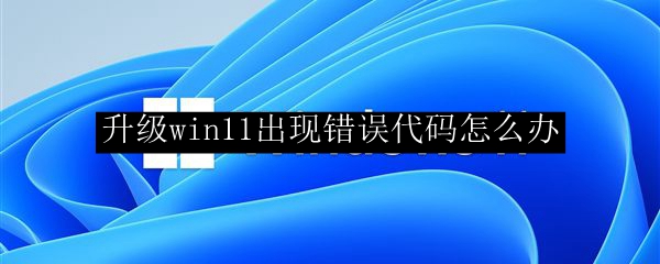升级win11出现错误代码怎么办