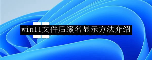 win11文件后缀名显示方法介绍