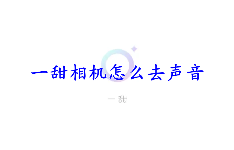 一甜相机怎么去声音