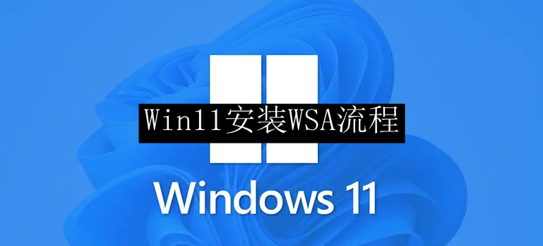Win11安装WSA流程
