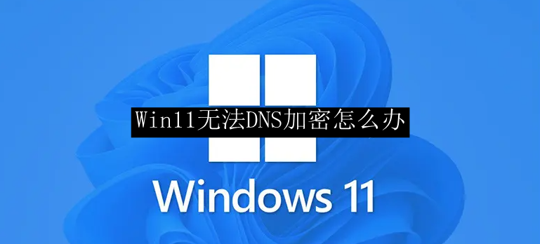 Win11无法DNS加密怎么办