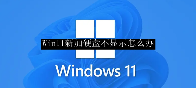 Win11新加硬盘不显示怎么办