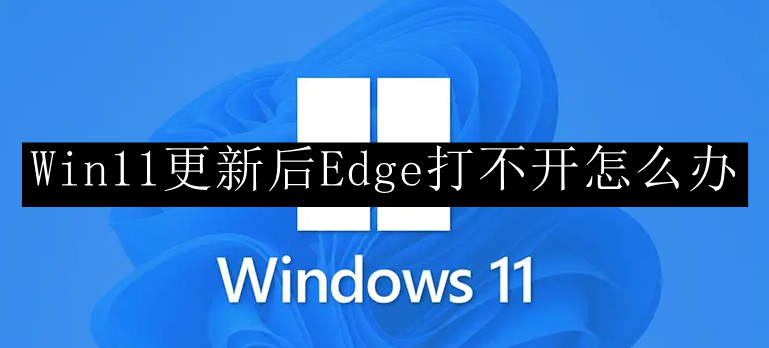 Win11更新后Edge打不开怎么办