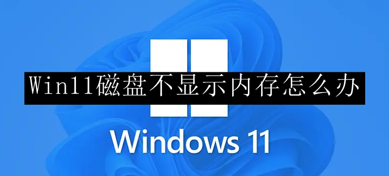 Win11磁盘不显示内存怎么办