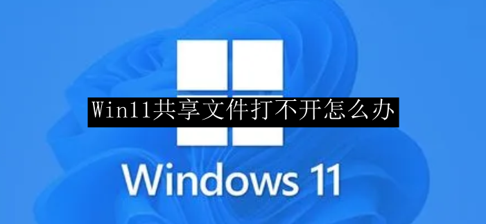 Win11共享文件打不开怎么办