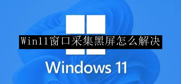 Win11窗口采集黑屏怎么解决