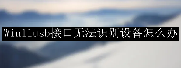 Win11usb接口无法识别设备怎么办