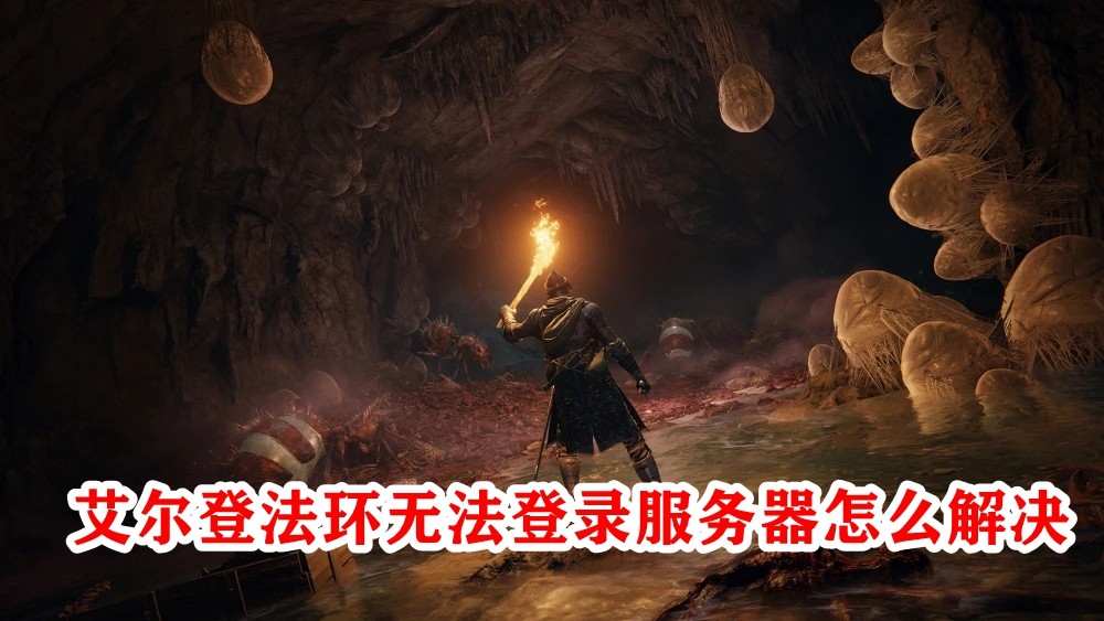 艾尔登法环无法登录服务器怎么解决