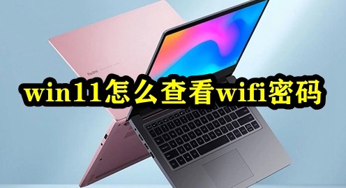 win11怎么查看wifi密码