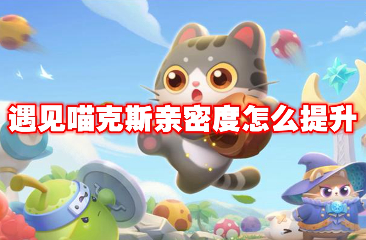 遇见喵克斯亲密度怎么提升