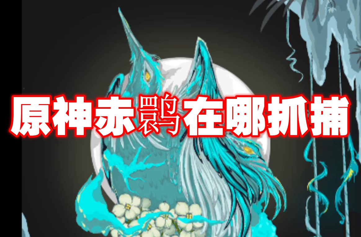原神赤鹮在哪抓捕