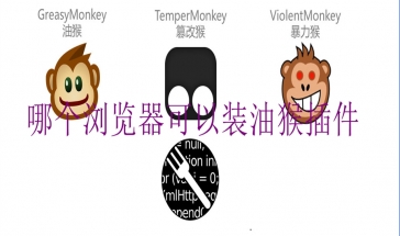 哪个浏览器可以装油猴插件