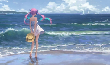 小鸟壁纸新版本2024