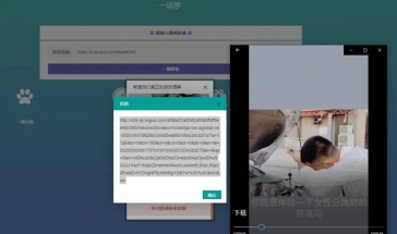 视频解析软件有哪些