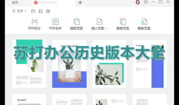 苏打办公历史版本大全