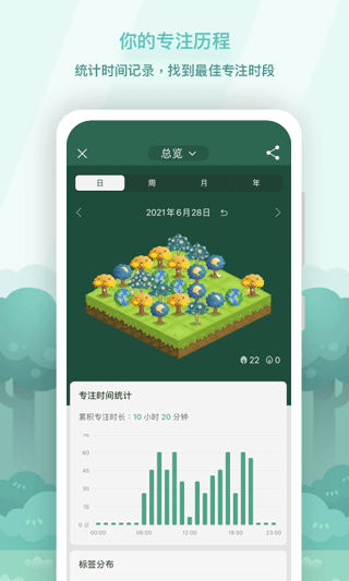 forest专注森林