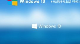 Windows10 64位纯净专业版v11.9