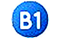 B1 Free Archiverv1.5.86