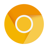 Chrome CanaryV81.0.4026.0