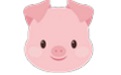小猪猪OCR文字识别v1.0