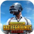 pubg mobile 国际服