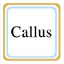 callus模拟器v2.4