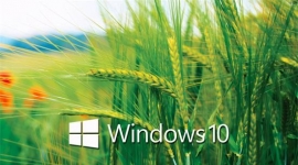 微软原版Win10系统镜像2023年12月19日