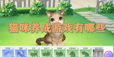 猫咪养成游戏有哪些