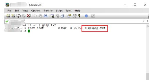 securecrt怎么设置中文界面