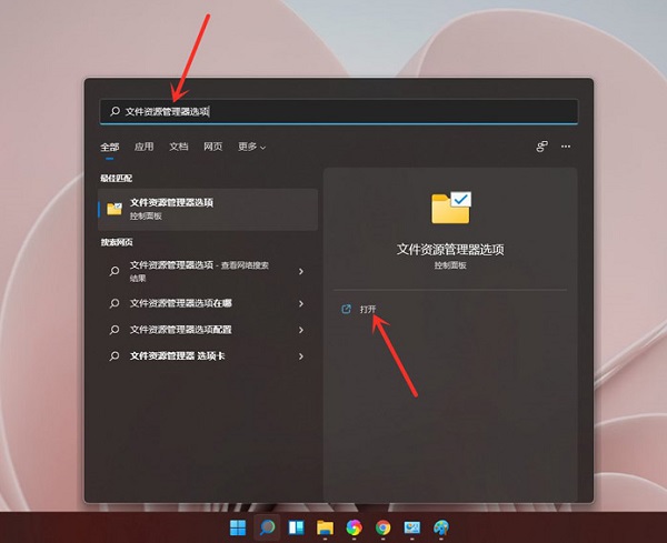 win11怎么显示后缀名