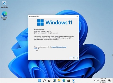 win11关闭右下角消息栏方法