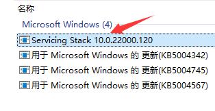 win11只显示鼠标解决方法介绍