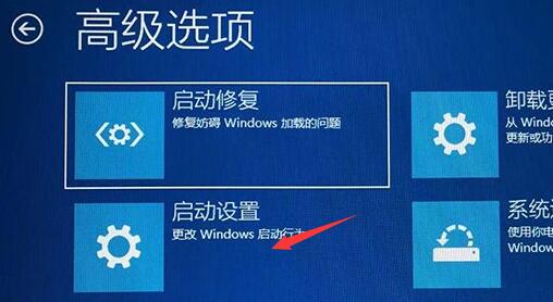 win11为什么开机一直转圈