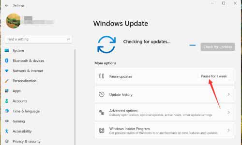 win11暂停更新怎么设置