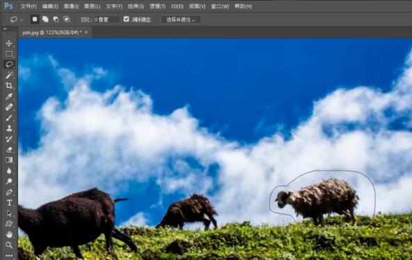 Photoshop CC免费版