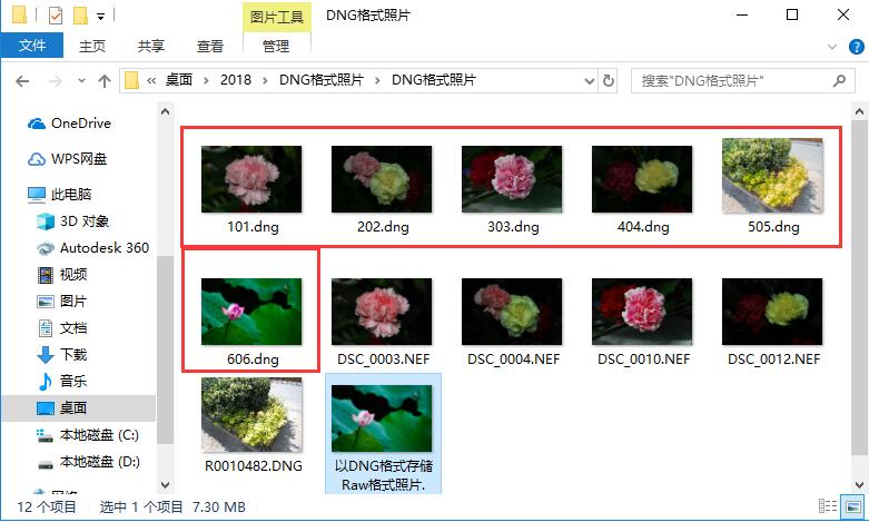 Adobe DNG Converter下载v10.0