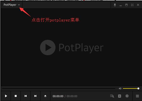 PotPlayer电视版v1.7.21589
