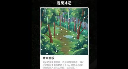 支付宝福寿保护地巡护答案是什么