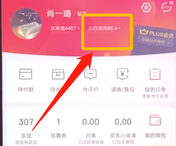 京东怎么提升小白信用