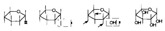 ChemDraw怎么绘制透视图形