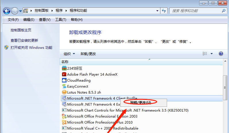 .NET FrameworkV4.8