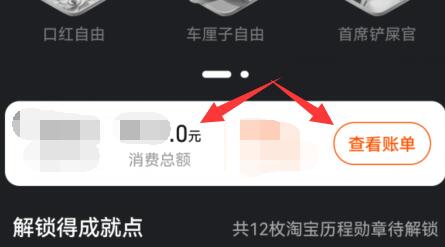 怎么查看淘宝一共花了多少钱