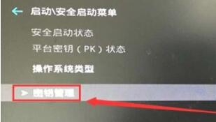 win11提示必须支持安全启动
