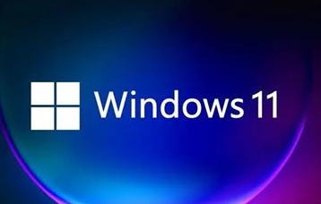 win11business和consumer版本区别