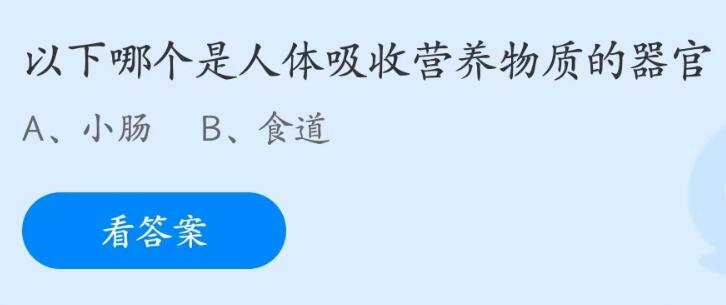 支付宝蚂蚁庄园5月31日答案最新