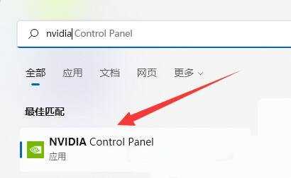 Win11没有nvidia控制面板解决方法