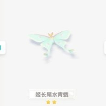 心动小镇姬长尾水青蛾位置在哪